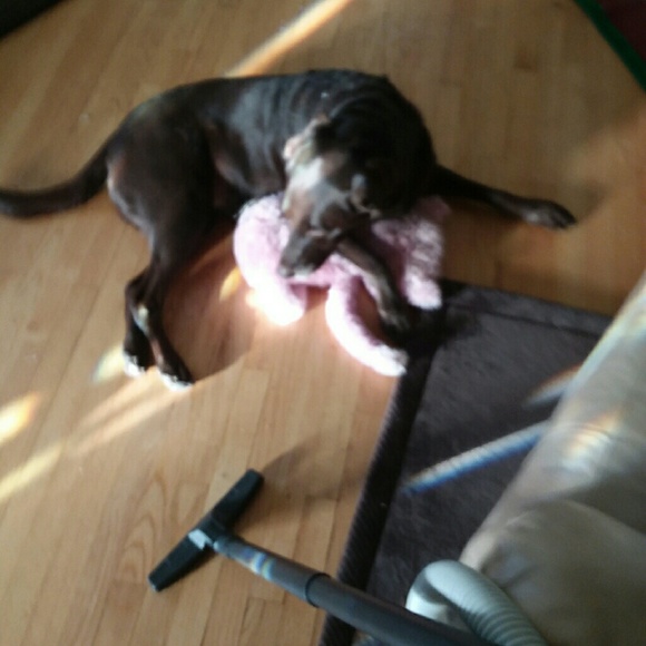 Meet your Posher, Bri - Picture 3 of 9